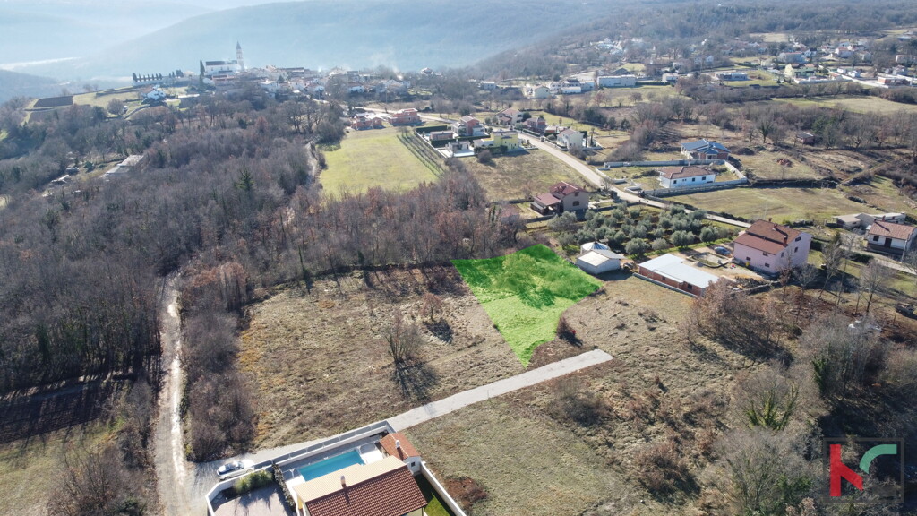 Image 6230778 - 4