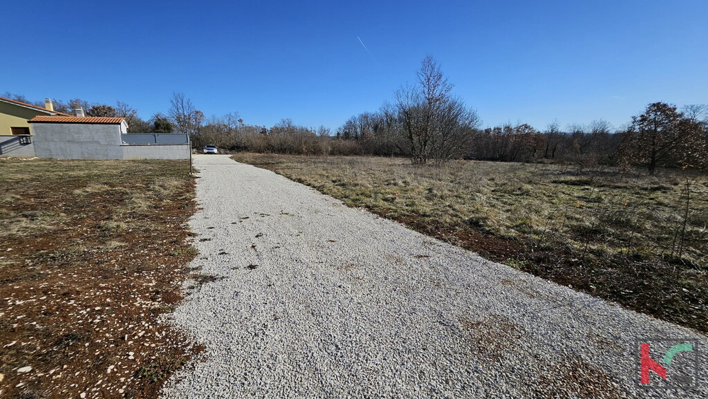 Image 6230778 - 9