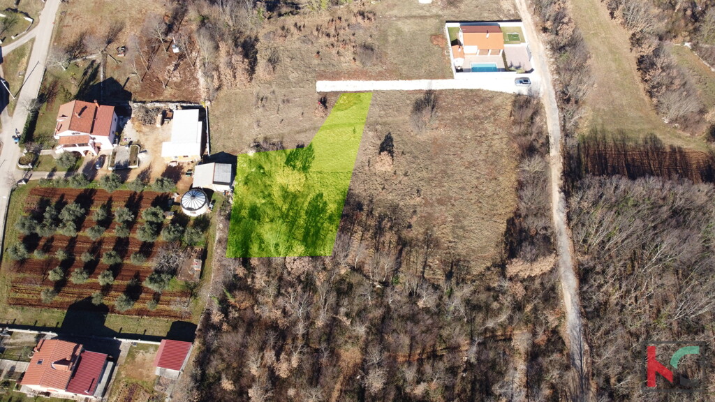 Image 6230778 - 1