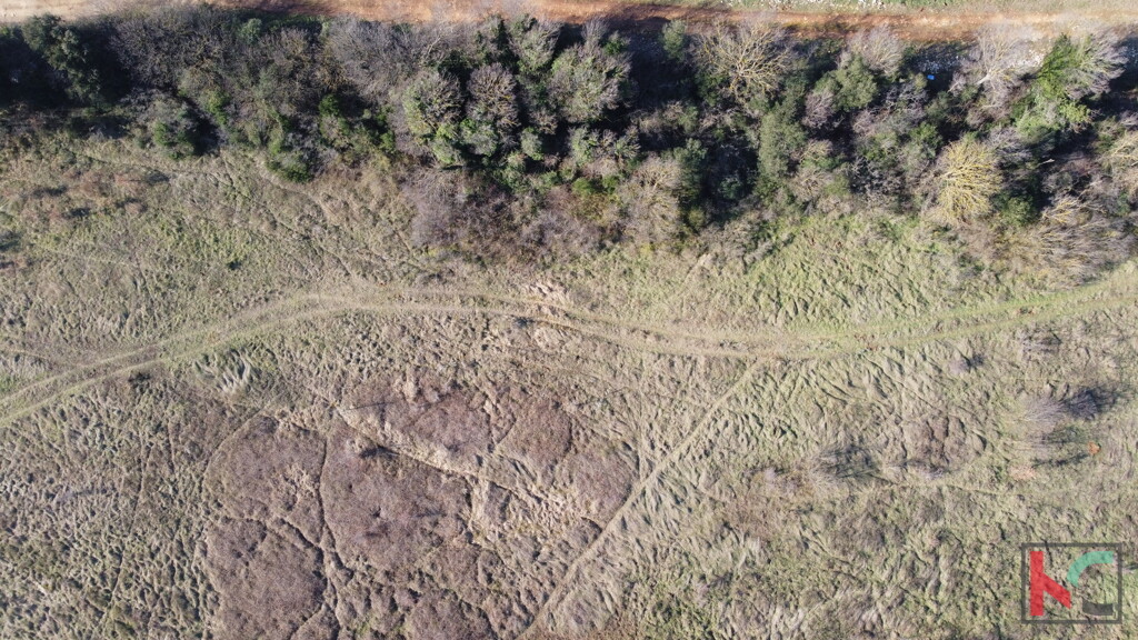 Image 6230779 - 1