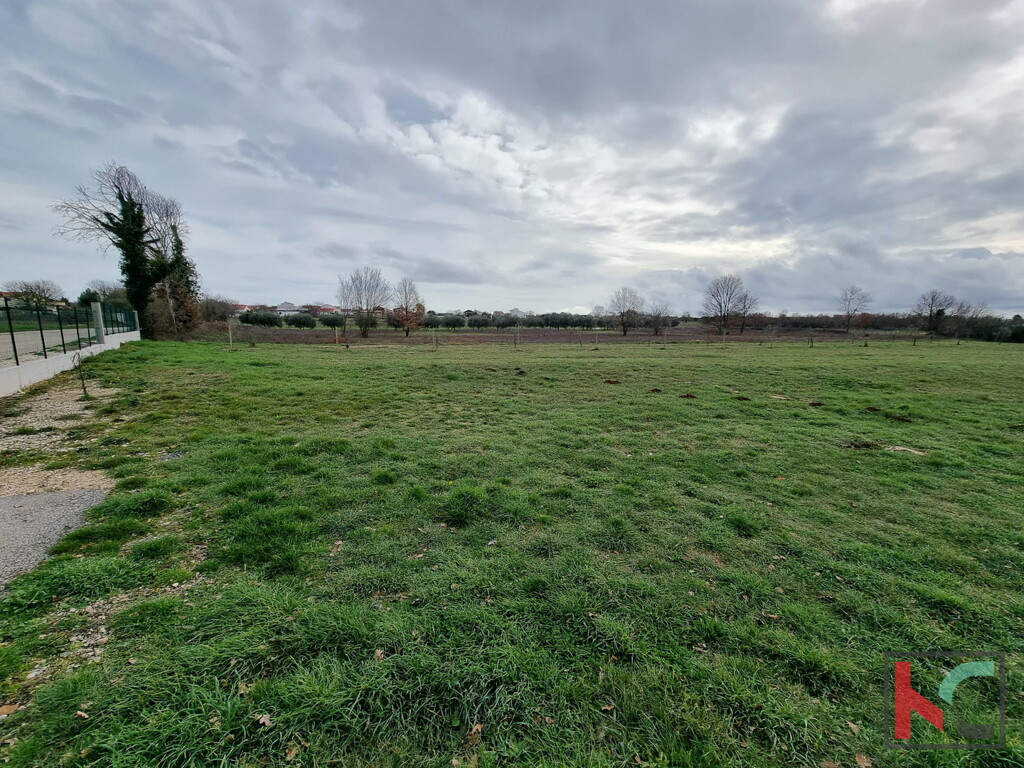 Image 6230782 - 4