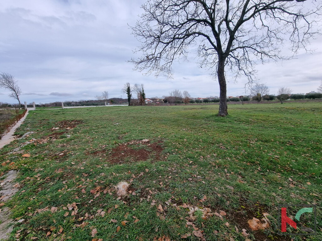Image 6230782 - 6