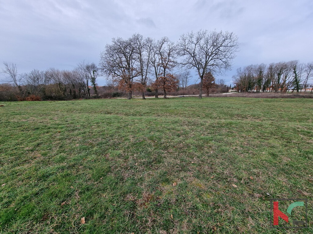 Image 6230782 - 2