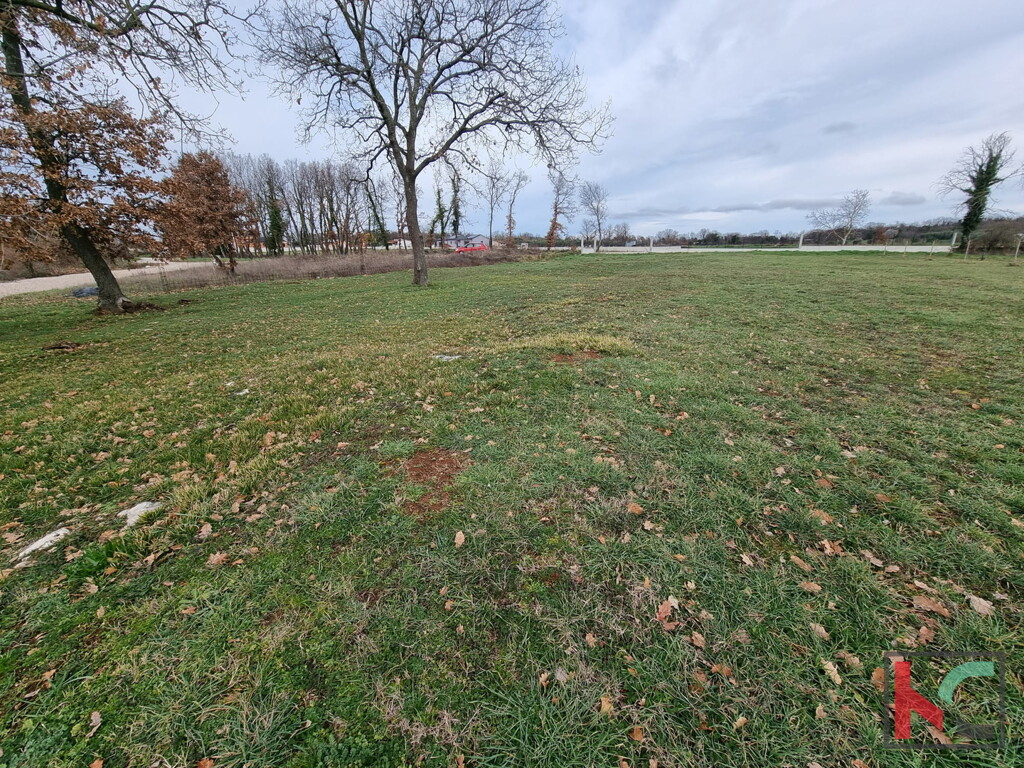 Image 6230782 - 1