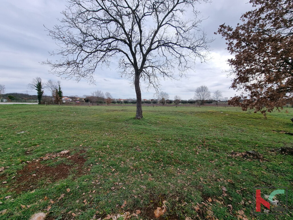Image 6230782 - 5