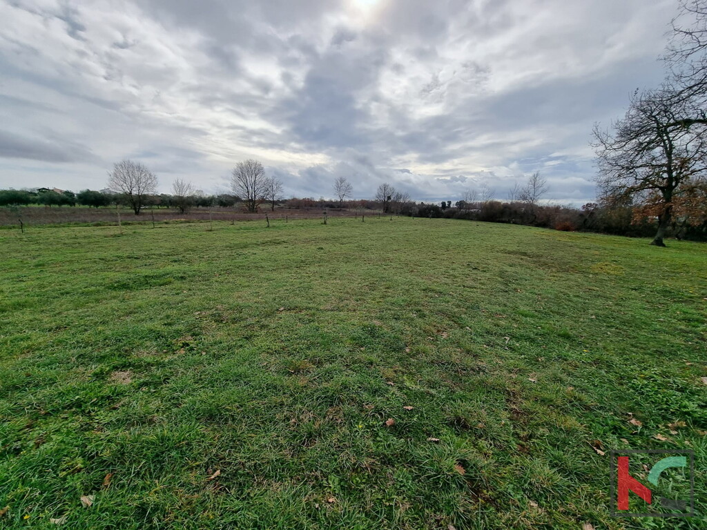 Image 6230782 - 3