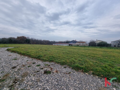 Thumbnail 6230783 - 5