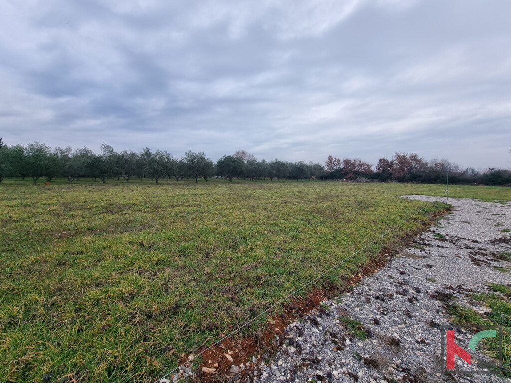 Image 6230783 - 6