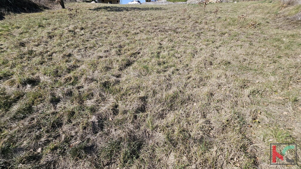 Image 6230785 - 1
