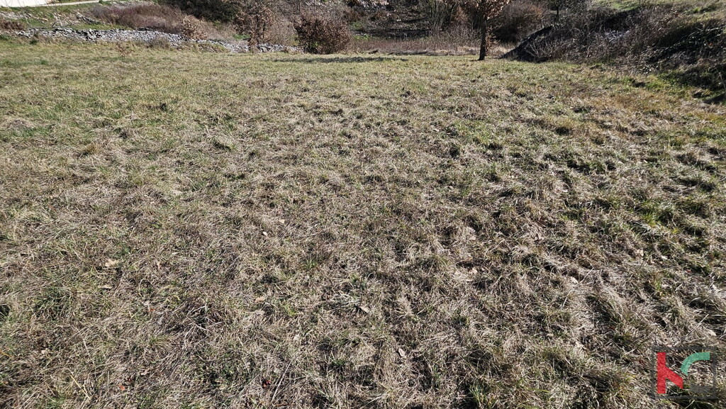 Image 6230785 - 3
