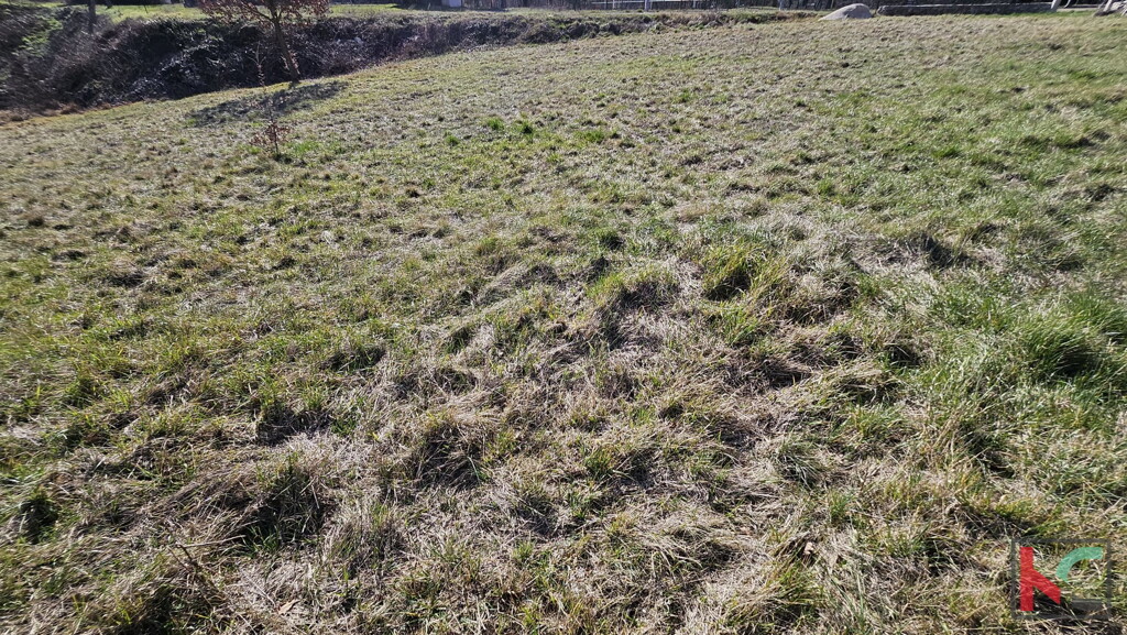 Image 6230785 - 2