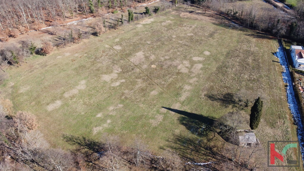 Image 6230803 - 3
