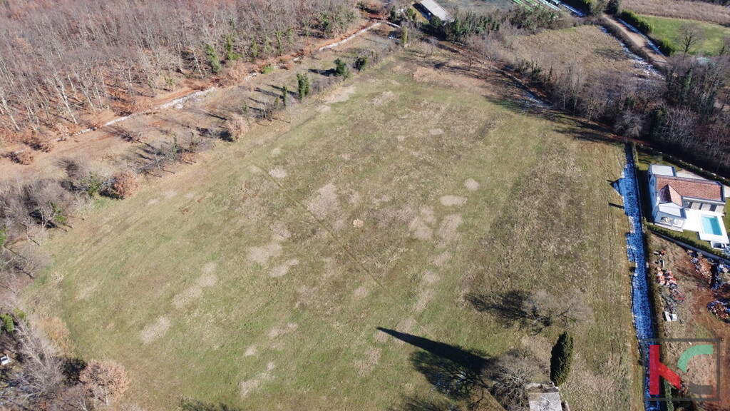 Image 6230803 - 1