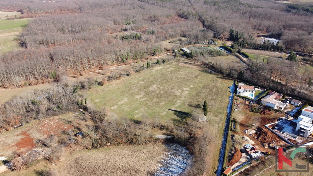 Image 6230803 - 5