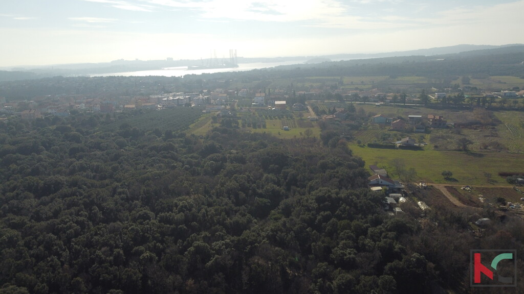 Image 6230810 - 4