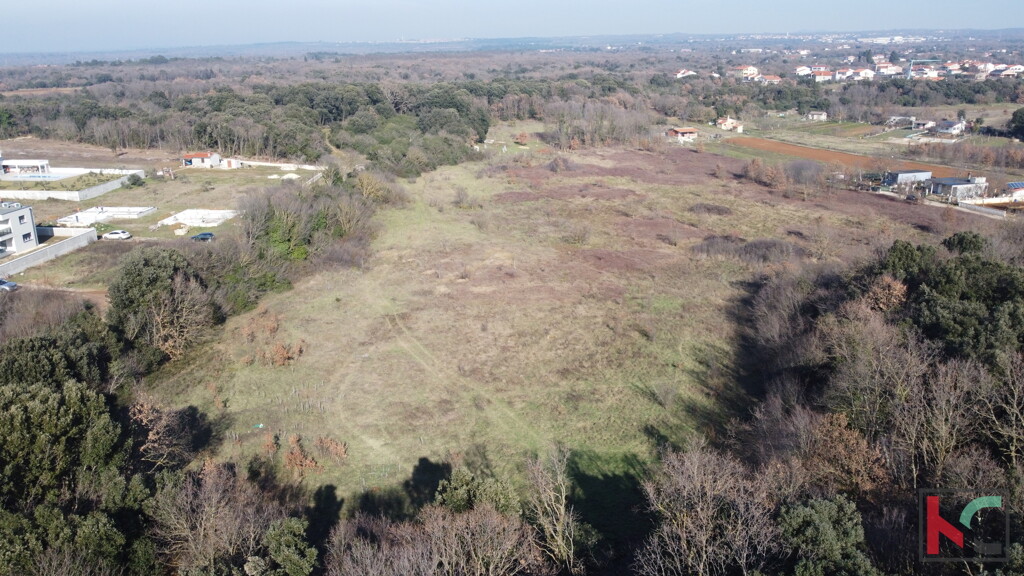 Image 6230810 - 3