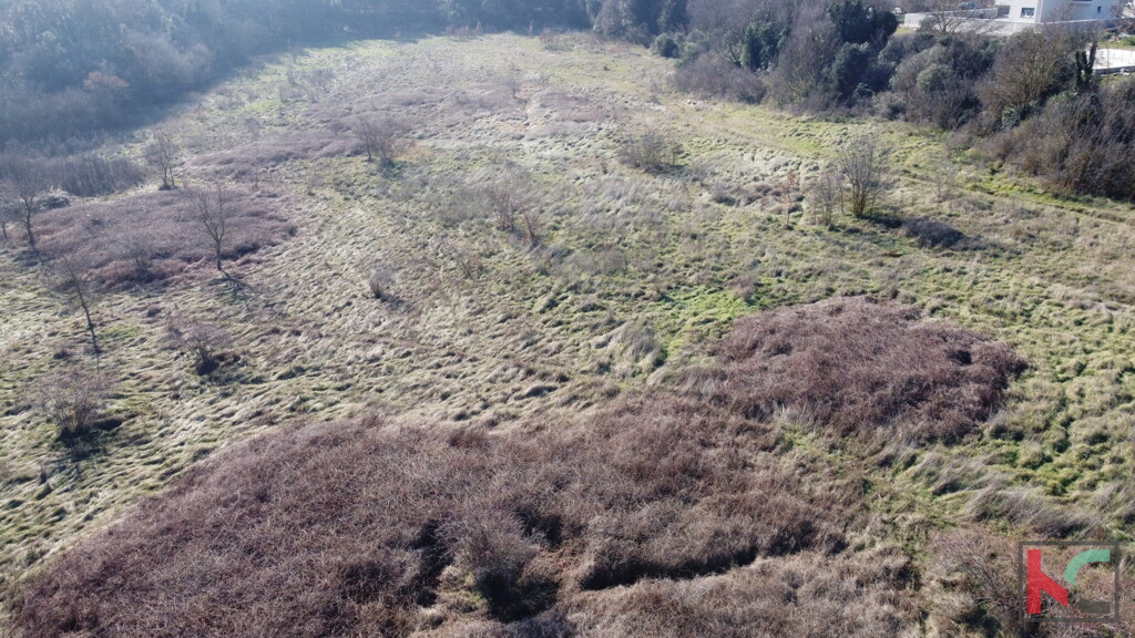 Image 6230810 - 2