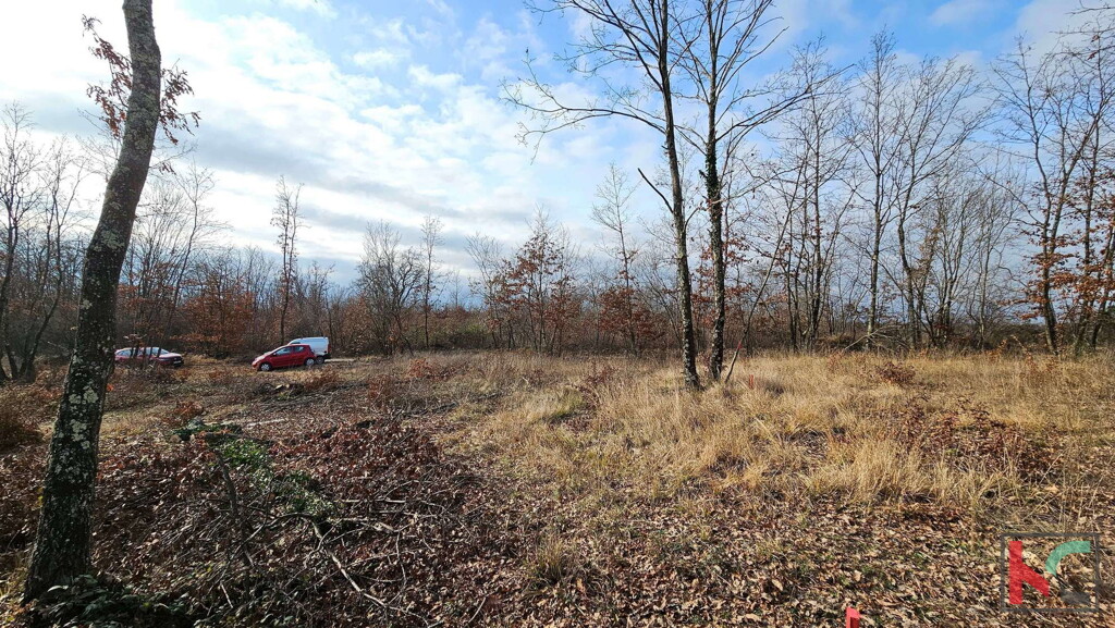 Image 6230829 - 9