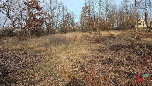 Thumbnail 6230829 - 7
