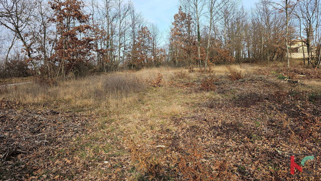 Image 6230829 - 7