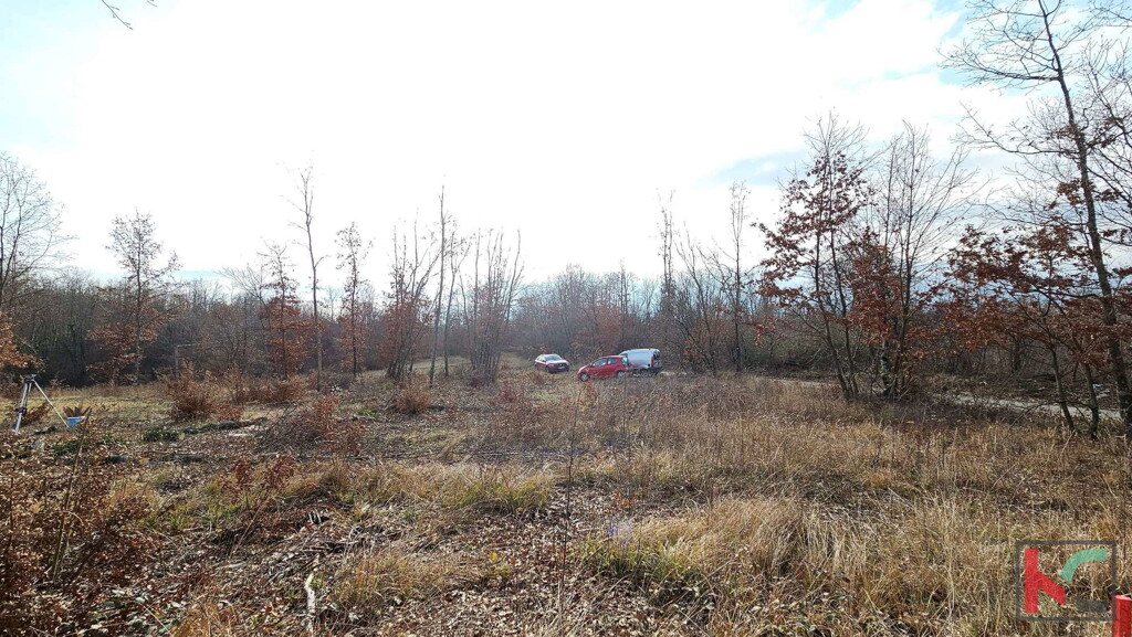 Image 6230829 - 8