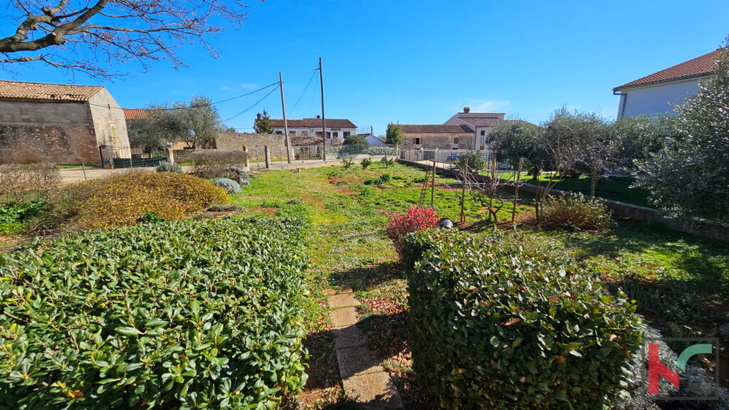 Image 6230838 - 4