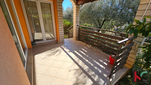 Thumbnail 6230838 - 12