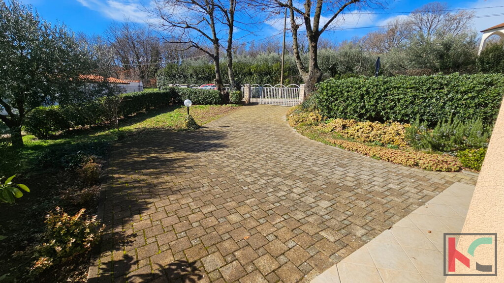 Image 6230838 - 24