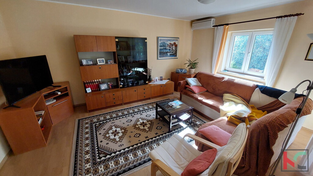 Image 6230838 - 3
