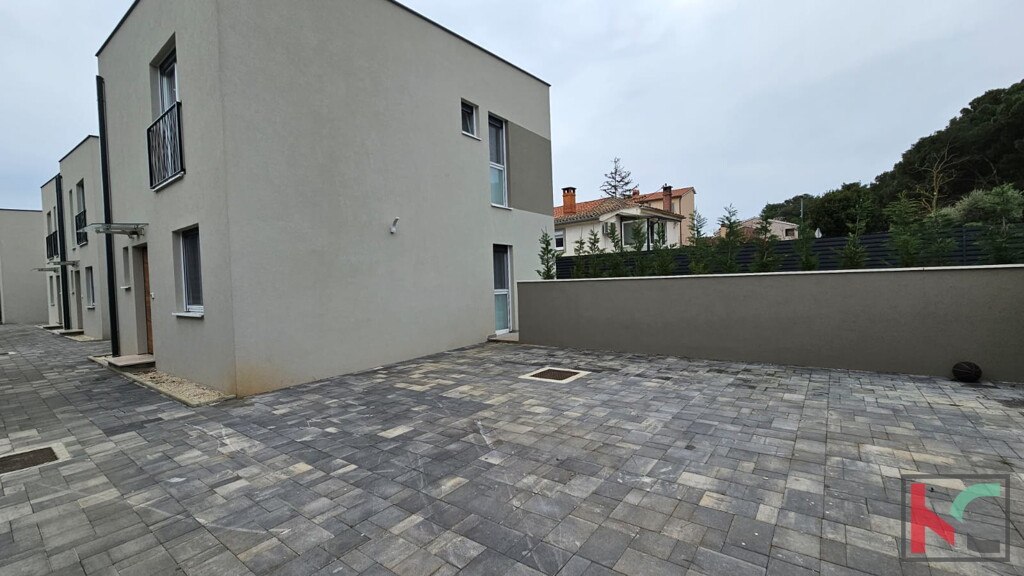 Image 6230839 - 5