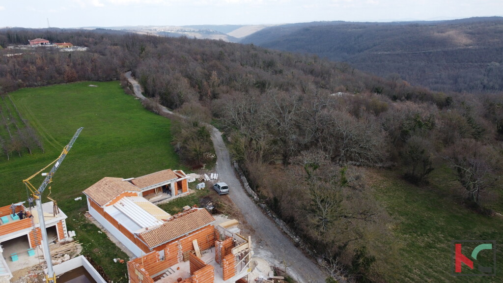 Image 6230846 - 8