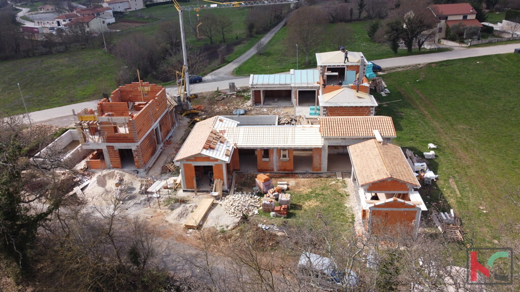 Image 6230846 - 1