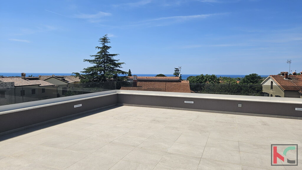 Image 6230849 - 17
