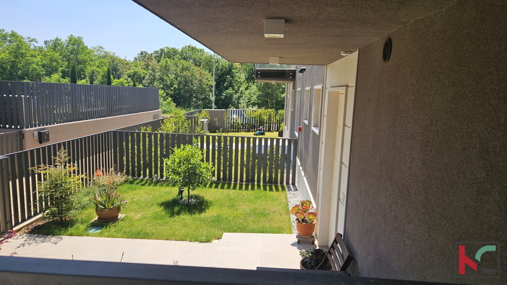 Image 6230849 - 2
