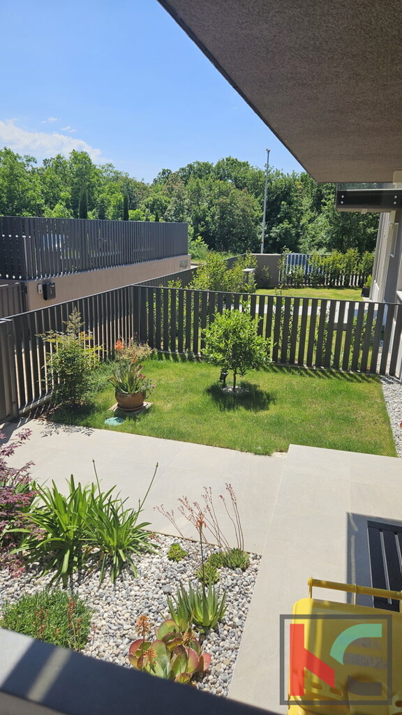 Image 6230849 - 23