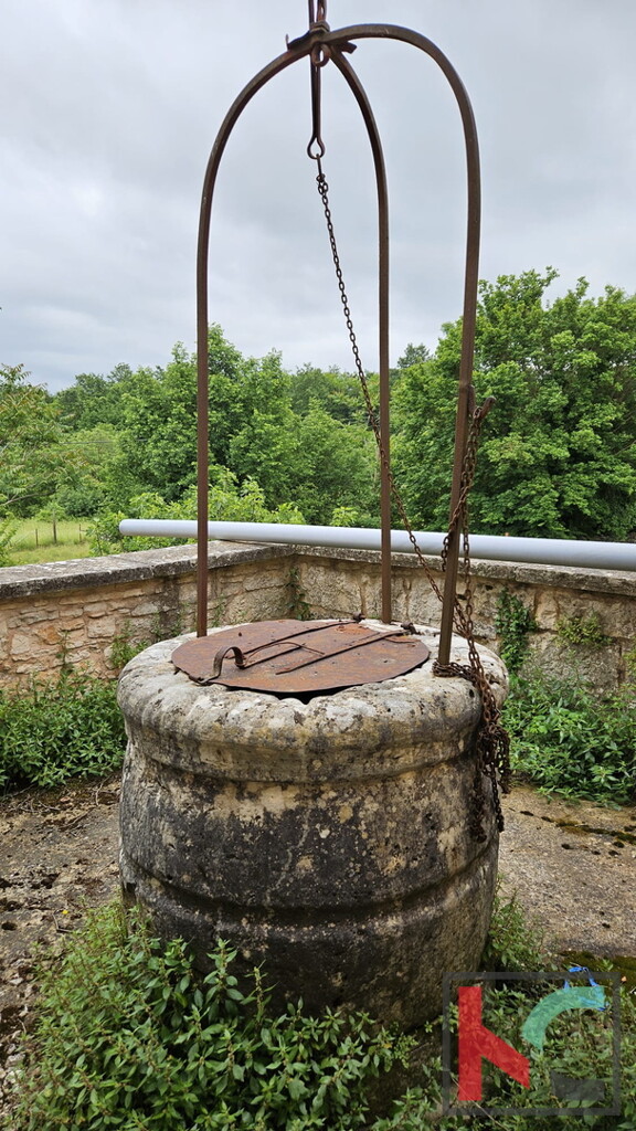 Image 6230850 - 17