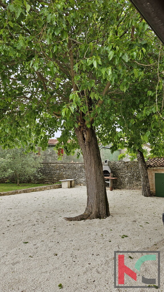 Image 6230850 - 20