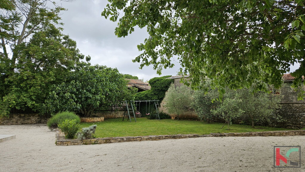 Image 6230850 - 4