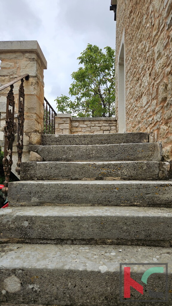 Image 6230850 - 23