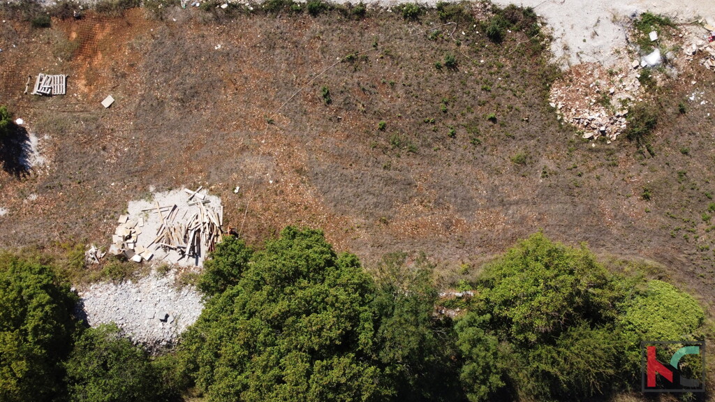 Image 6230856 - 8
