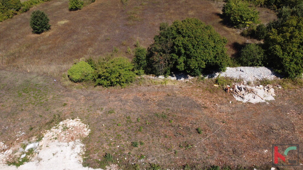 Image 6230856 - 7
