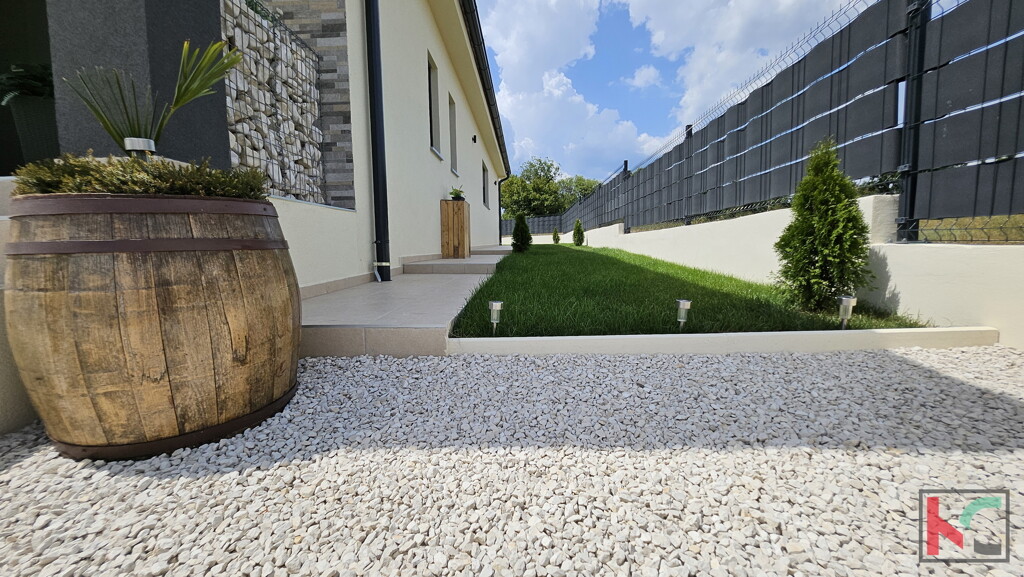 Image 6230859 - 12