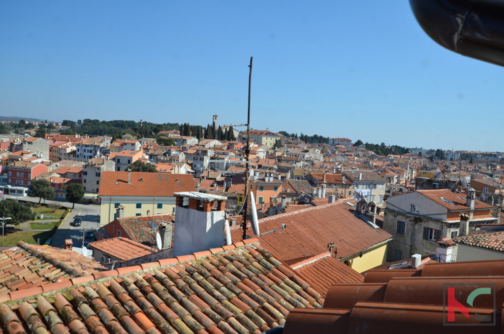 Image 6230861 - 12