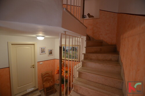 Thumbnail 6230861 - 1