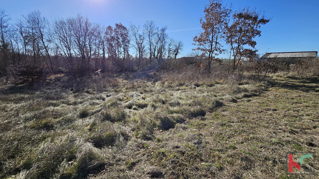 Image 6230862 - 1