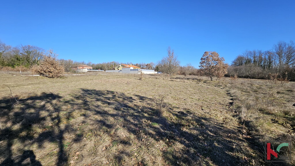 Image 6230862 - 8