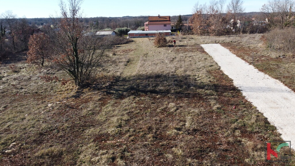 Image 6230862 - 6