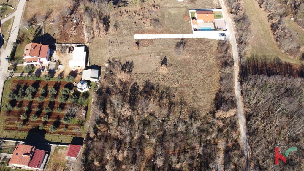 Image 6230862 - 5