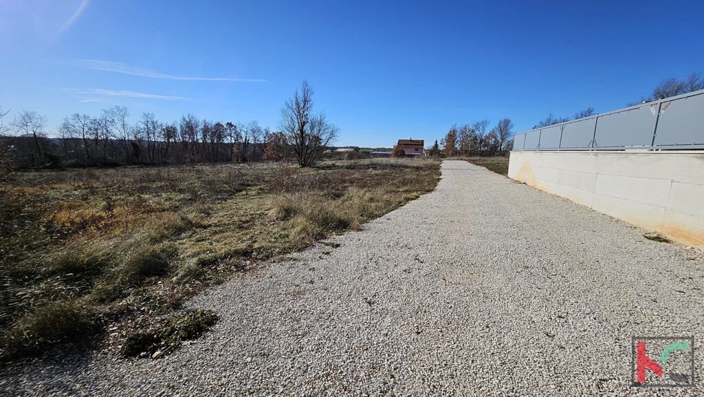 Image 6230862 - 4