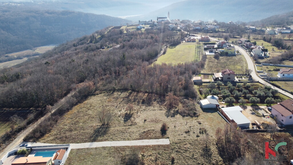 Image 6230862 - 3